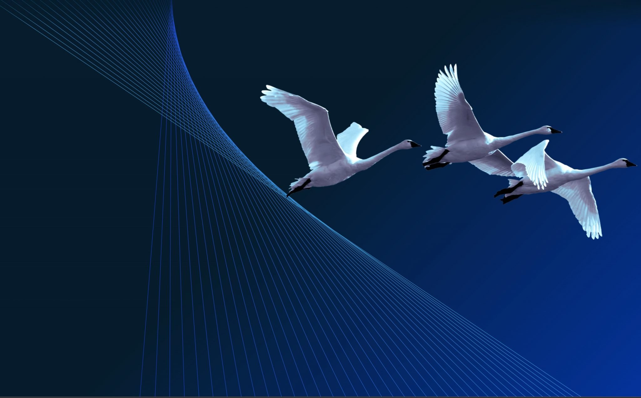 Integrating ESG and Stakeholder Trust Initiatives: THE DEFINITIVE GUIDE